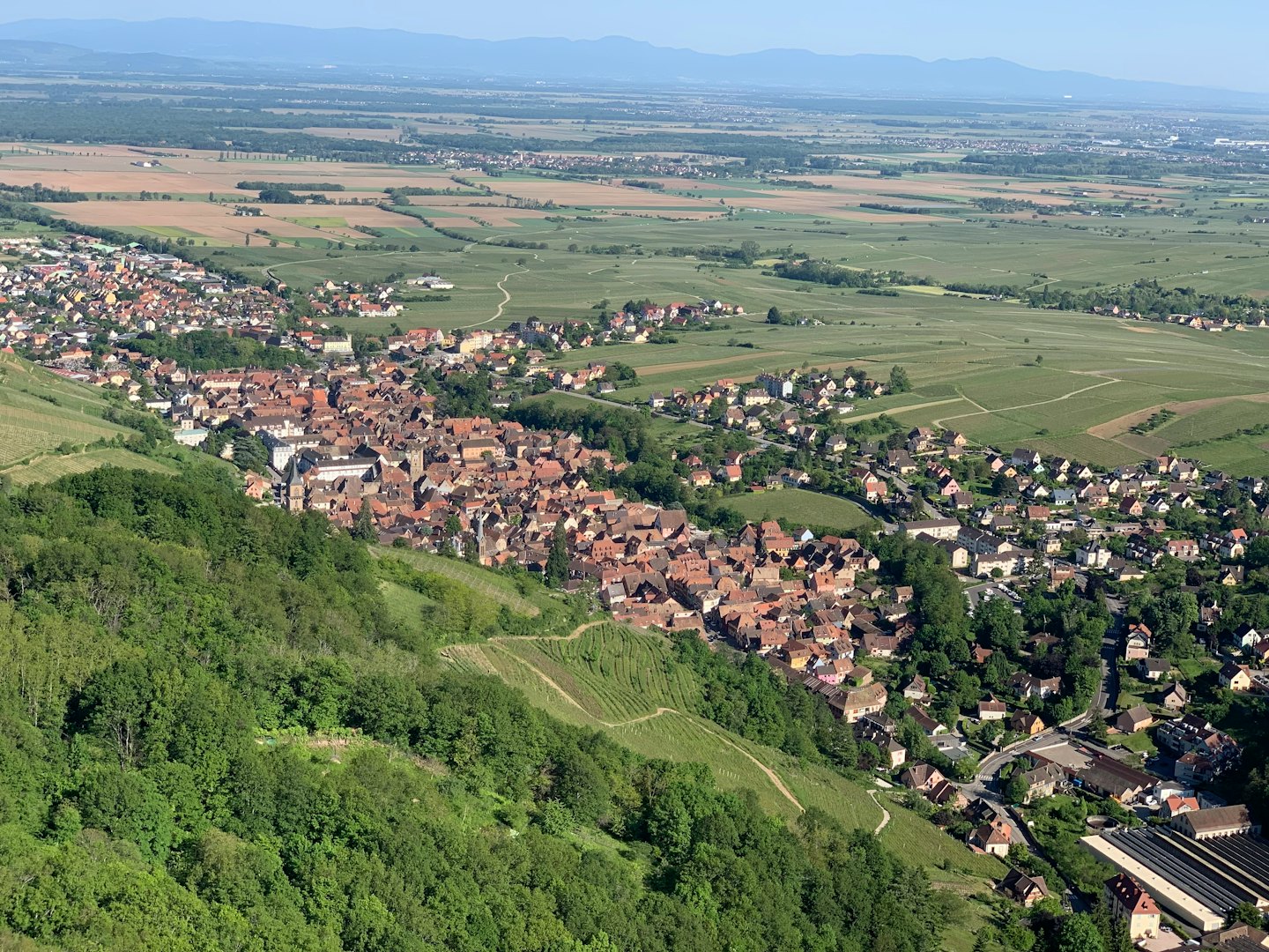 Tetti in cotto di un borgo storico tra dolci colline di vigneti.